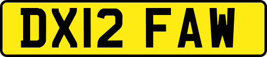 DX12FAW