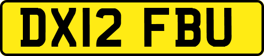 DX12FBU