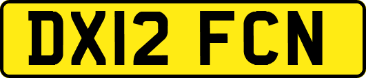 DX12FCN