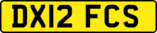 DX12FCS