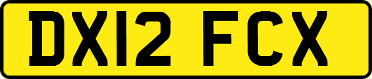 DX12FCX