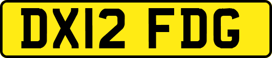 DX12FDG
