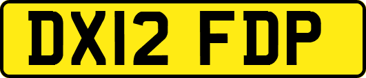 DX12FDP