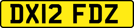 DX12FDZ