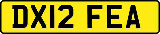 DX12FEA