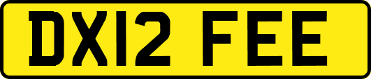 DX12FEE