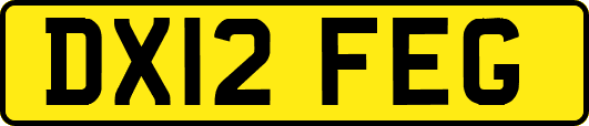 DX12FEG