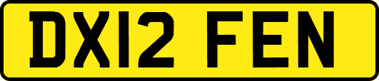 DX12FEN