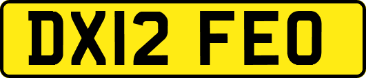 DX12FEO