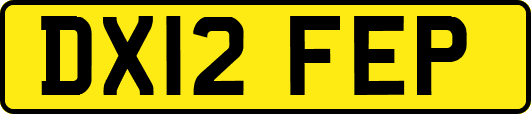 DX12FEP