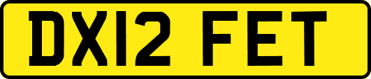 DX12FET