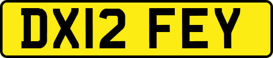 DX12FEY