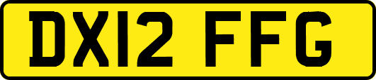 DX12FFG