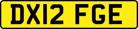 DX12FGE
