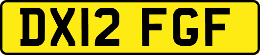 DX12FGF