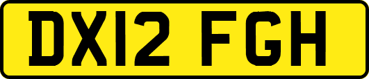 DX12FGH