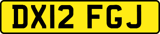 DX12FGJ