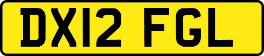 DX12FGL