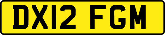 DX12FGM