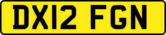 DX12FGN