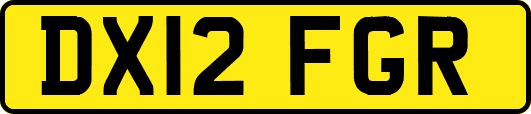 DX12FGR
