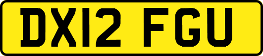 DX12FGU