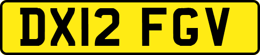 DX12FGV