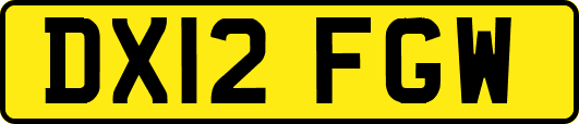 DX12FGW