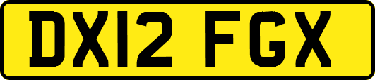 DX12FGX