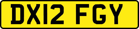 DX12FGY