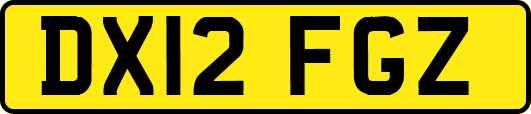 DX12FGZ