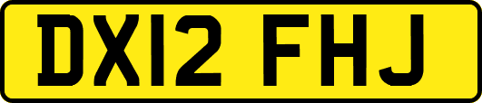DX12FHJ