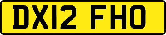 DX12FHO