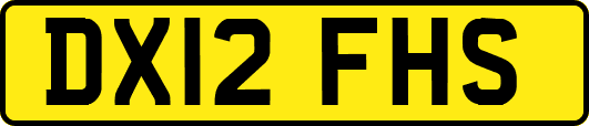 DX12FHS