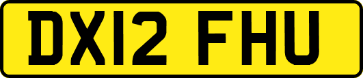 DX12FHU