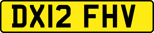 DX12FHV