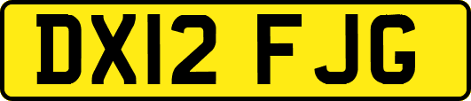 DX12FJG