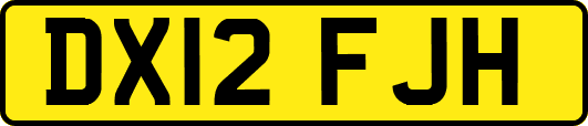 DX12FJH