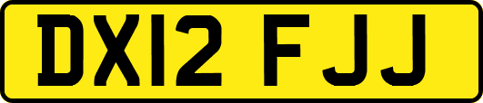 DX12FJJ