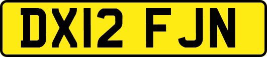 DX12FJN