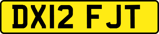 DX12FJT
