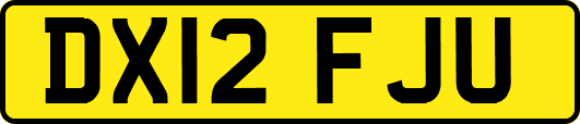 DX12FJU