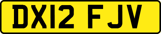 DX12FJV