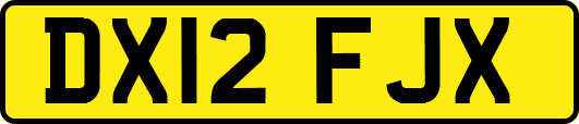 DX12FJX