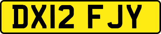 DX12FJY