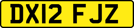 DX12FJZ