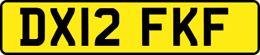 DX12FKF