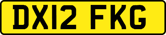 DX12FKG