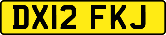 DX12FKJ