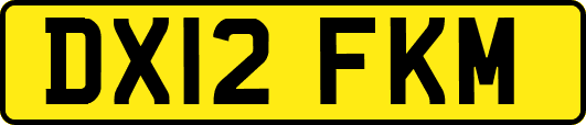 DX12FKM